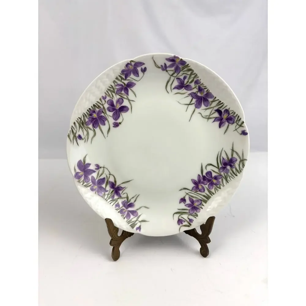 Antique H & C Haviland Limoges France 7.5